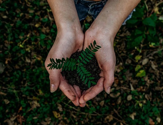 “Restore Our Earth”, il tema della Giornata Mondiale della Terra 2021